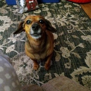 Meet your Posher, Cindy